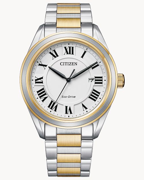 Citizen Arezzo AW1694-50A