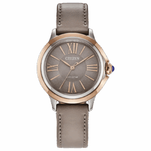 Citizen Eco-Drive watch with leather strap.