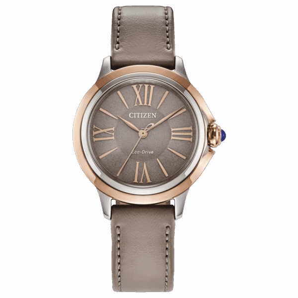 Citizen Eco-Drive watch with leather strap.