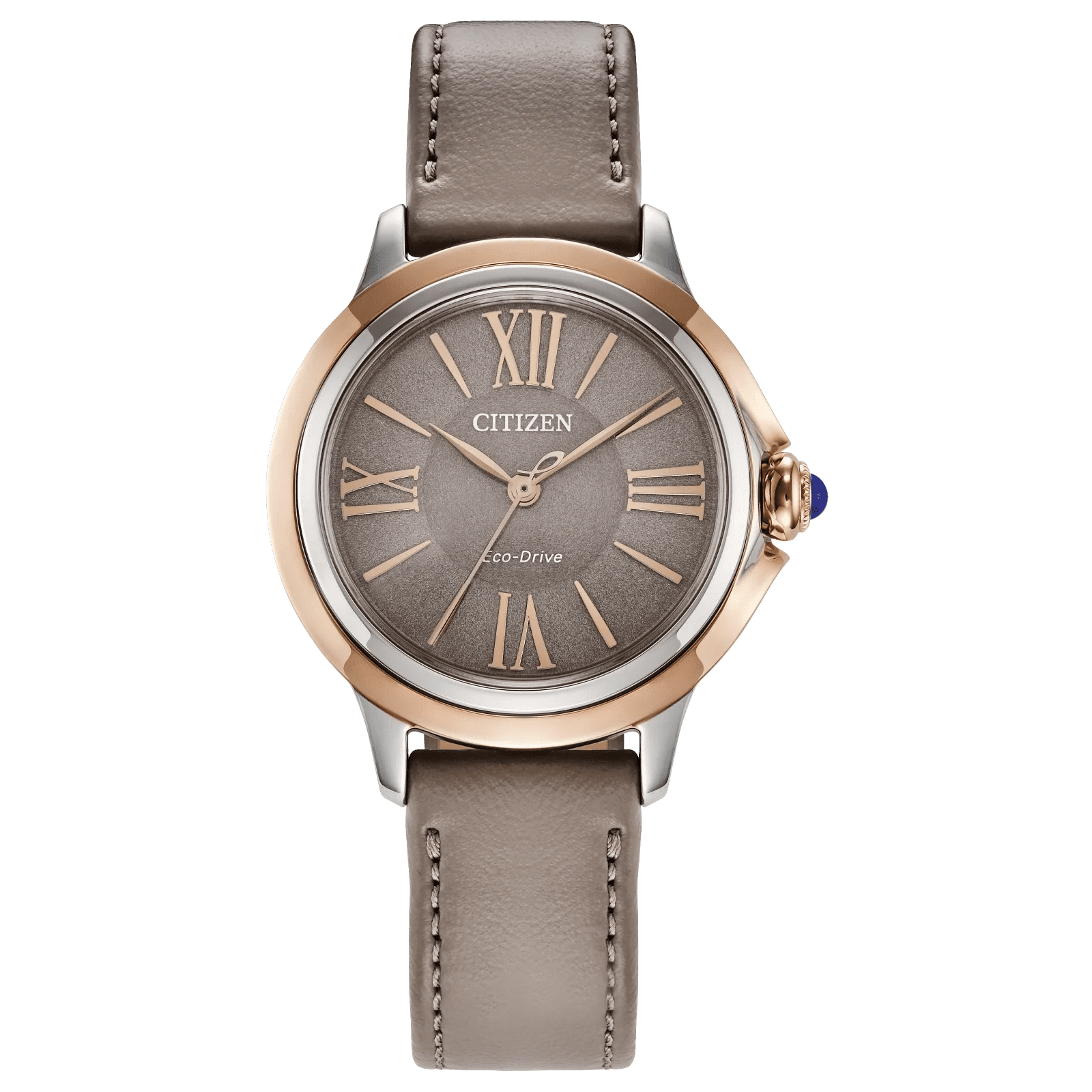 Citizen Eco-Drive watch with leather strap.