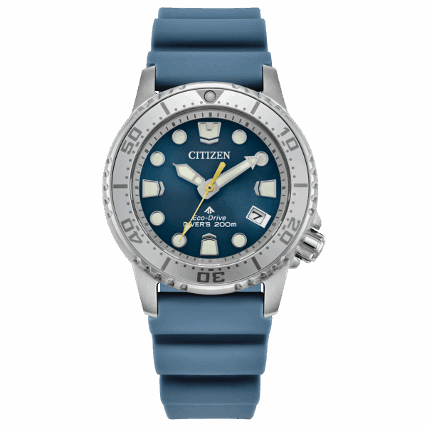 Citizen wristwatch with blue strap and silver bezel.