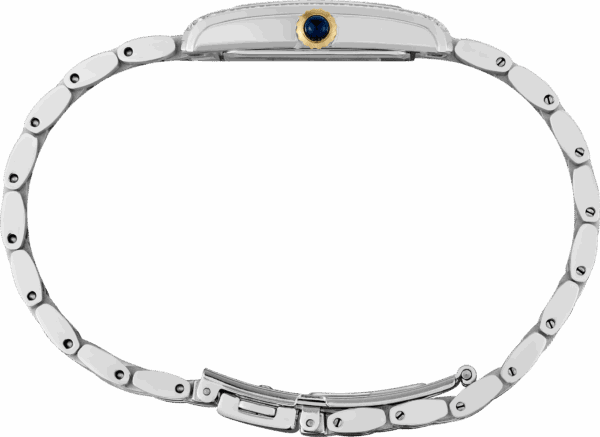 A sleek silver wristwatch with a blue crown detail.
